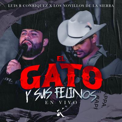 El Gato y Sus Felinos  (En Vivo)'s cover