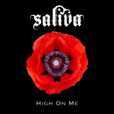 High on Me By Saliva's cover