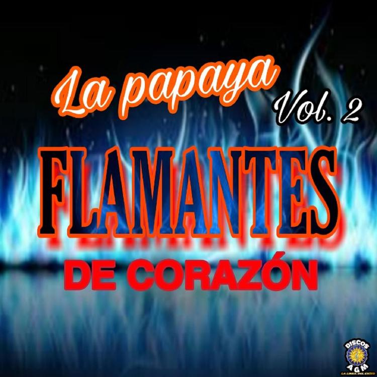 Flamantes De Corazon's avatar image