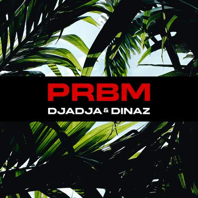PRBM's cover
