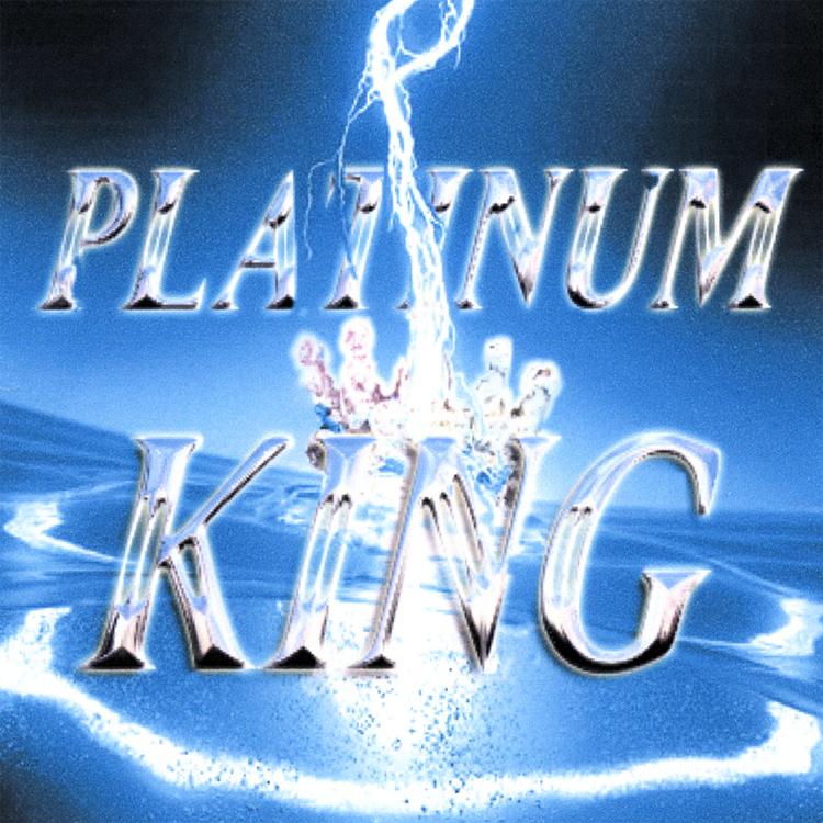 Platinum King's avatar image