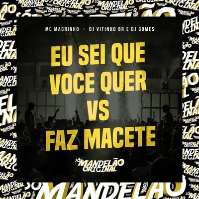 Eu Sei Que Você Quer Vs Faz Macete's cover