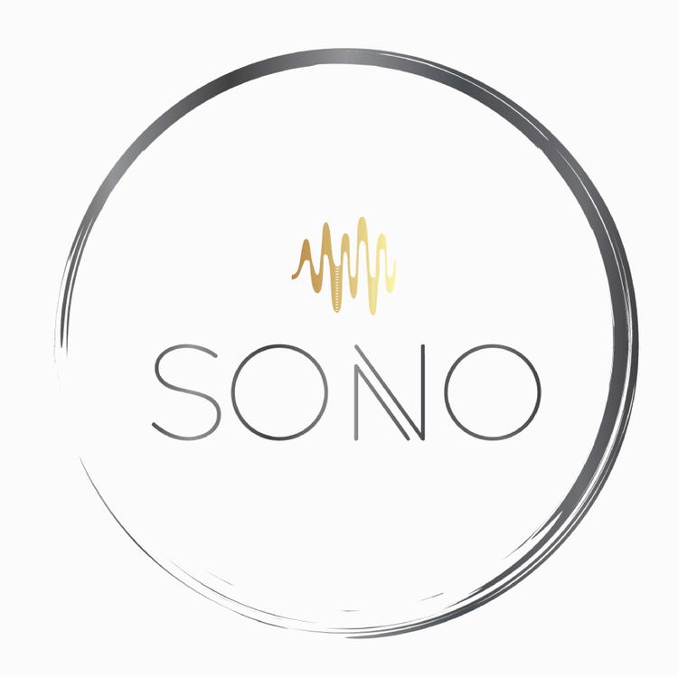 Vocal Group SONO's avatar image