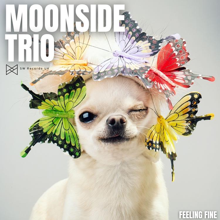 Moonside Trio's avatar image