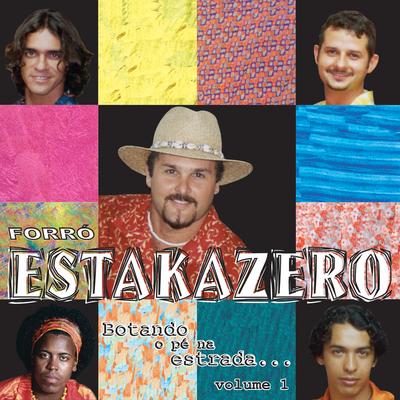 Xote Brasileiro By Leo Estakazero, Flávio José's cover