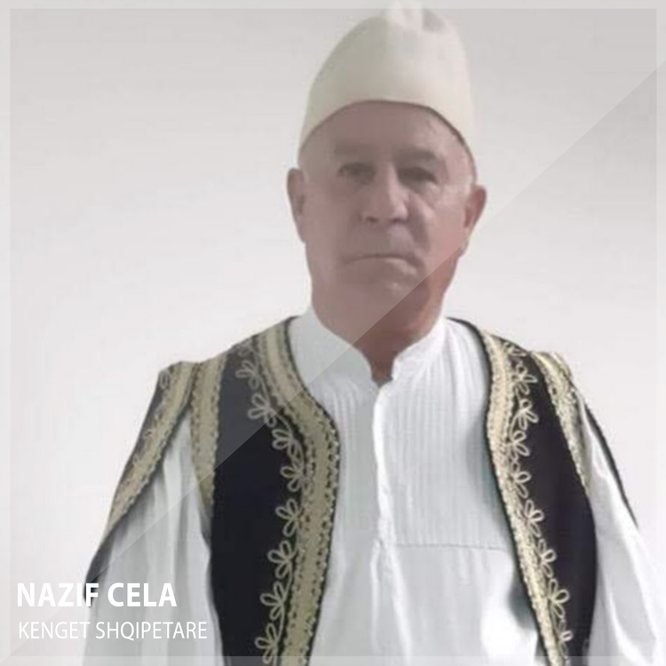 Nazif Cela's avatar image