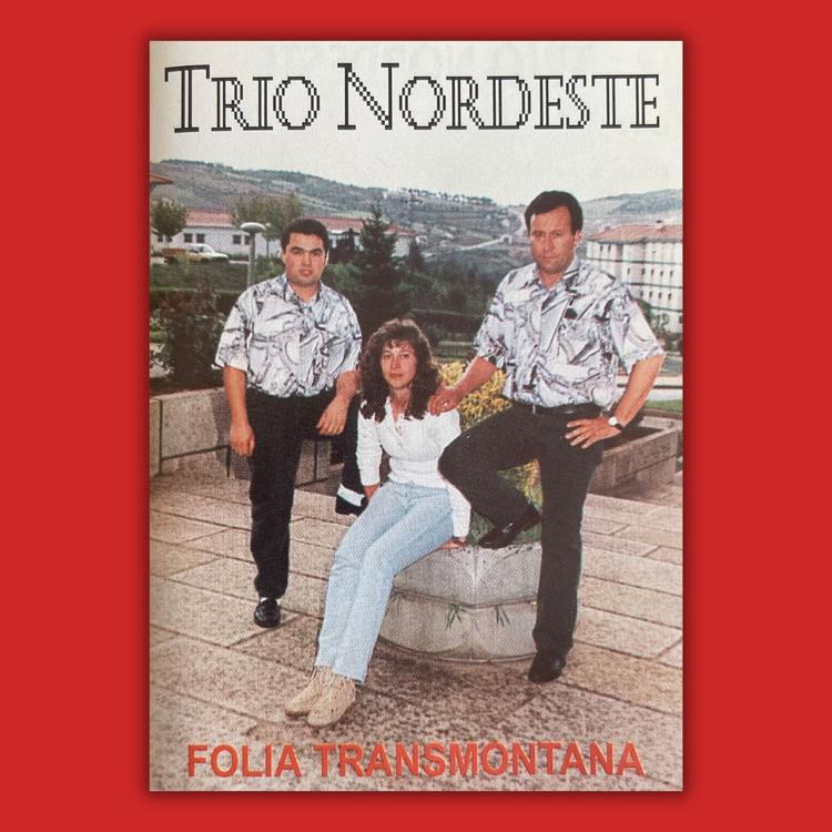 Trio Nordeste's avatar image