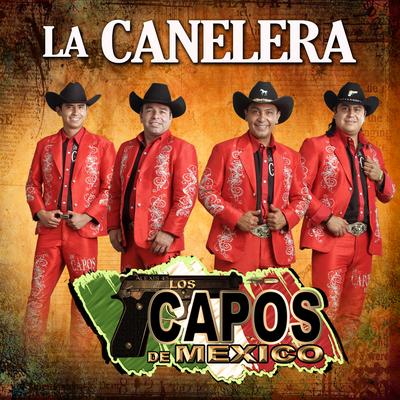 Los Capos de Mexico's cover