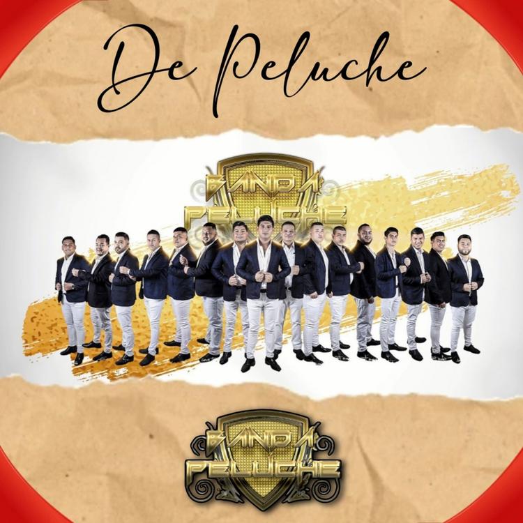 Banda Peluche's avatar image