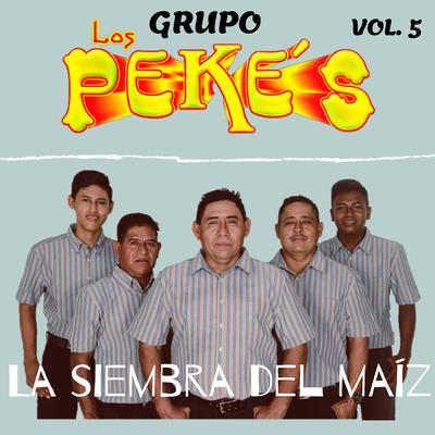 Grupo Los Pekes's cover