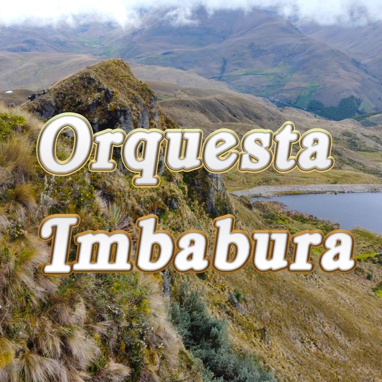 Orquesta Imbabura's avatar image