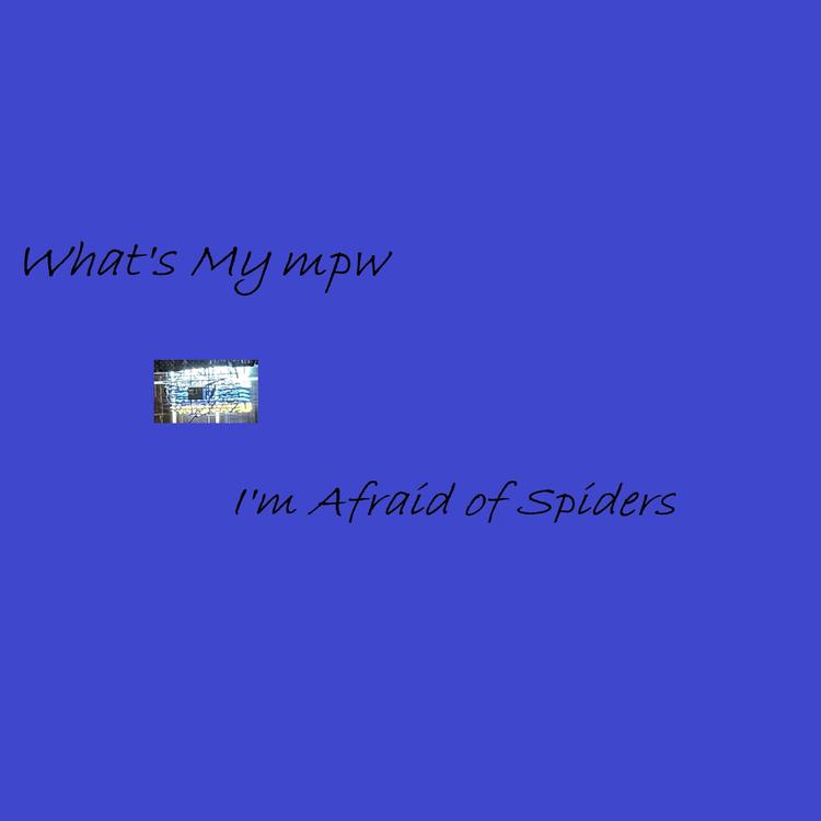 I'm Afraid of Spiders's avatar image