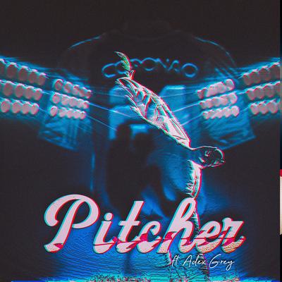 Pitcher's cover