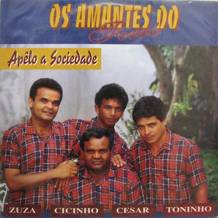 Os Amantes do Forró's avatar image