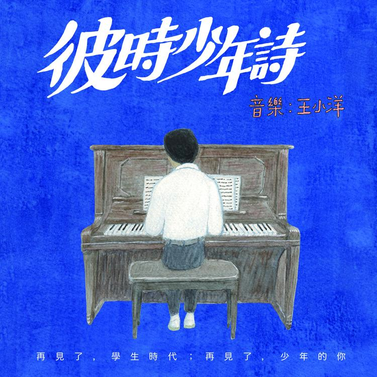 王小洋's avatar image