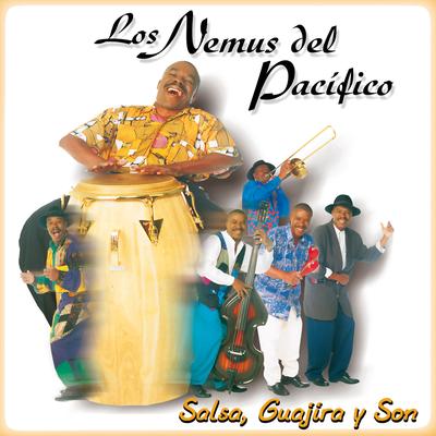 Salsa, Guajira y Son's cover