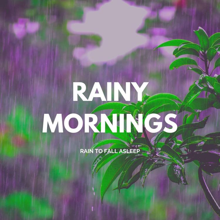 Rain to Fall Asleep's avatar image