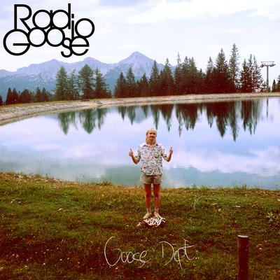 Every Car Should Have a Song This One is Sad also Ride a Bike Instead By Goose Dept.'s cover