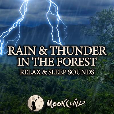 Rain and Thunder in the Forest By Rain Sounds, MoonChild Relax Sleep Asmr, The Sound Of The Rain, Relaxing Rain Sounds, Nature Sounds, Sleep Sounds Of Nature, ASMR Rain Sounds's cover
