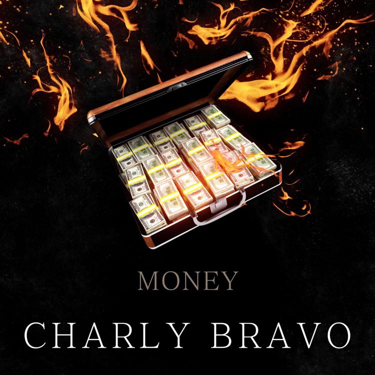 Charly Bravo's avatar image