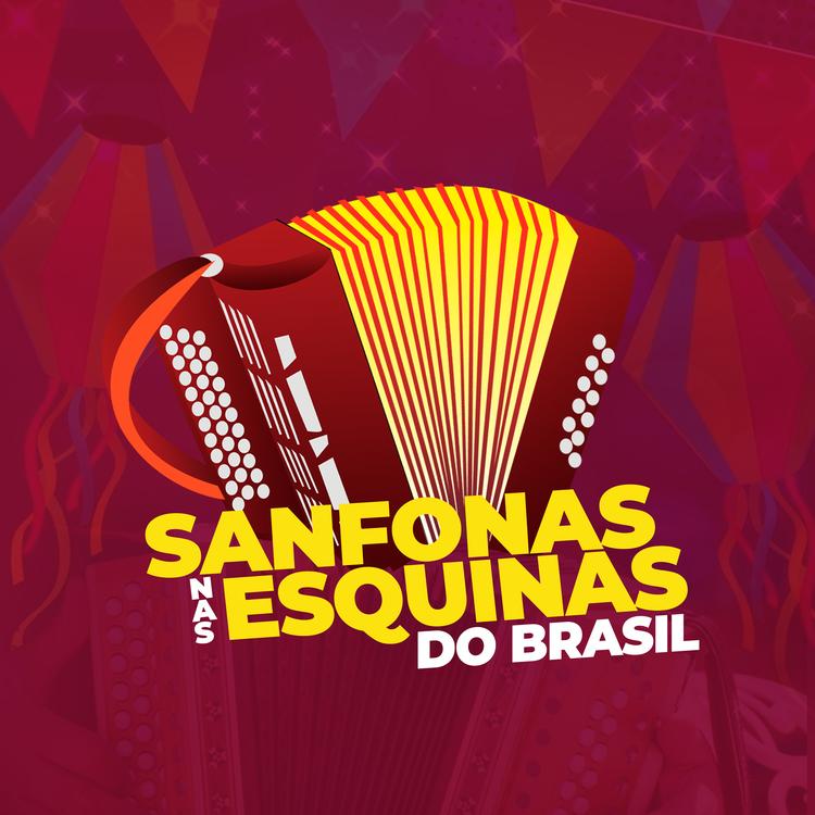 Sanfona nas esquinas do Brasil's avatar image
