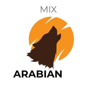 ARABIAN MIX's cover