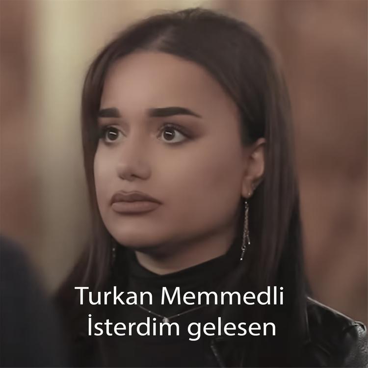 Turkan Memmedli's avatar image