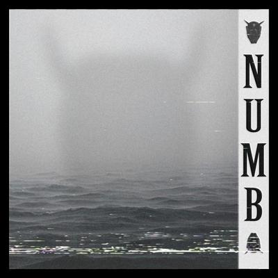 Numb By KSLV Noh's cover