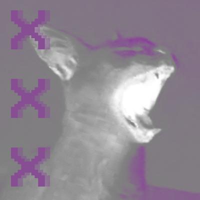 The Big X X X's cover