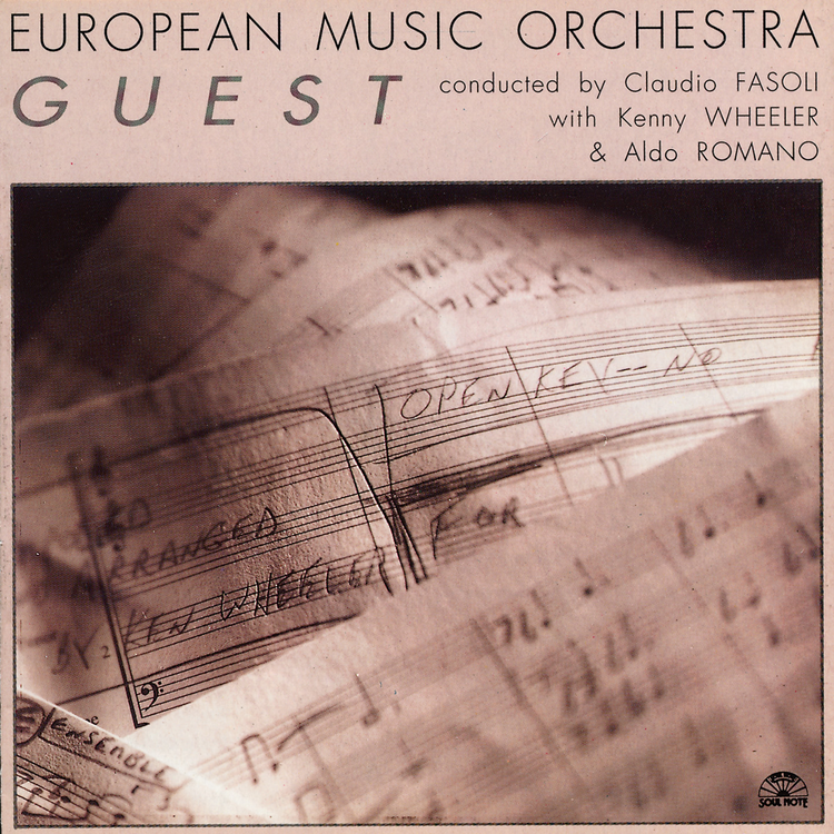 European Music Orchestra's avatar image