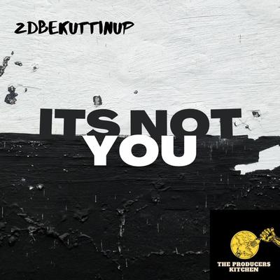 Its Not You's cover