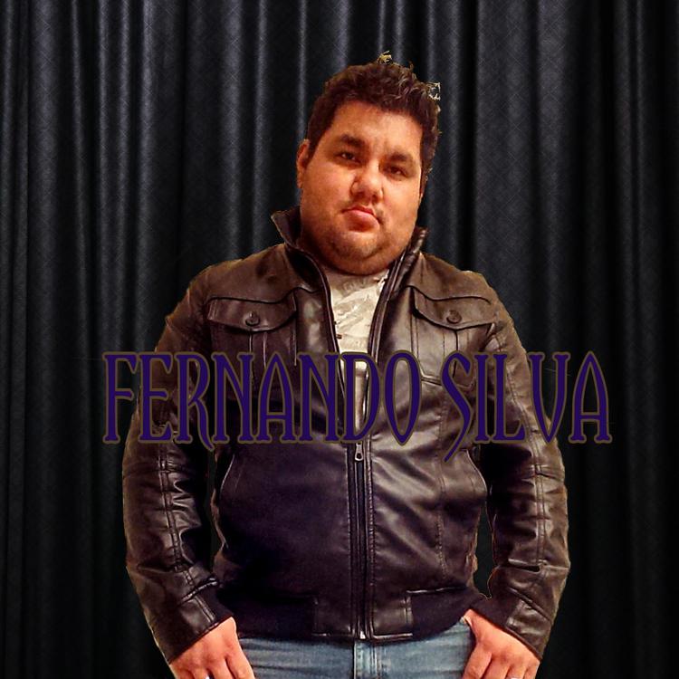 Fernando Silva's avatar image
