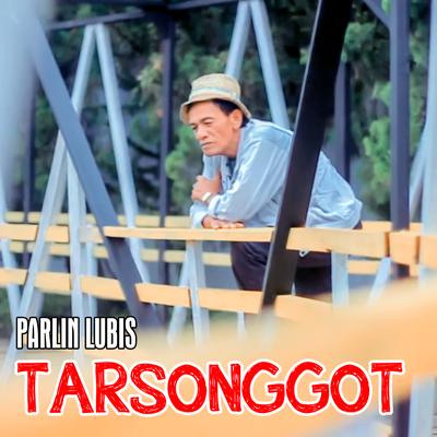 TARSONGGOT's cover