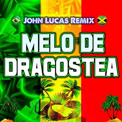 Melô de Dragostea By John Lucas Remix's cover