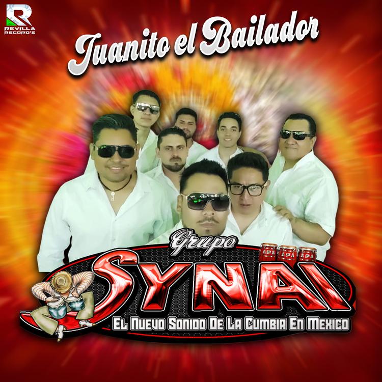 Grupo Synai's avatar image