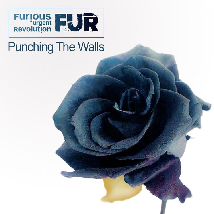 F.U.R Furious Urgent Revolution's avatar image