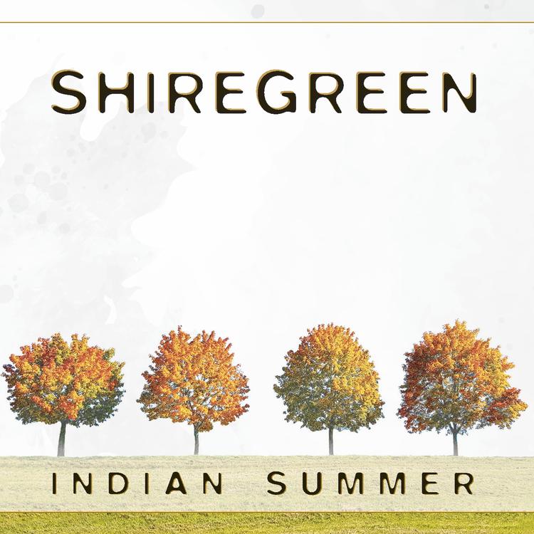 Shiregreen's avatar image