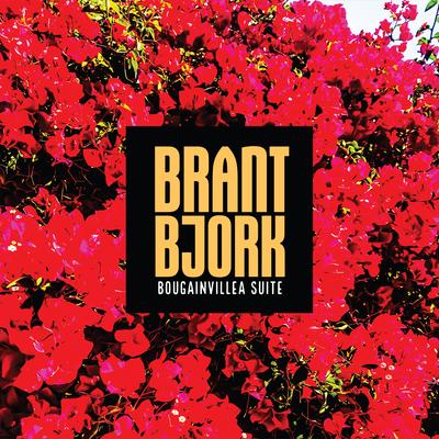 Let's Forget By Brant Bjork's cover