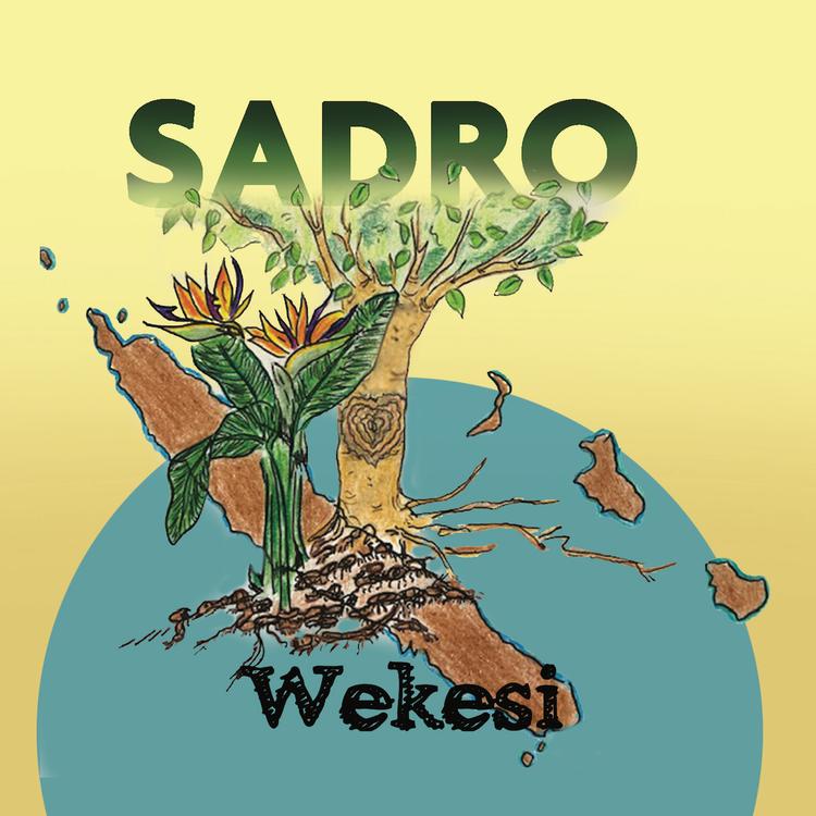 Sadro's avatar image