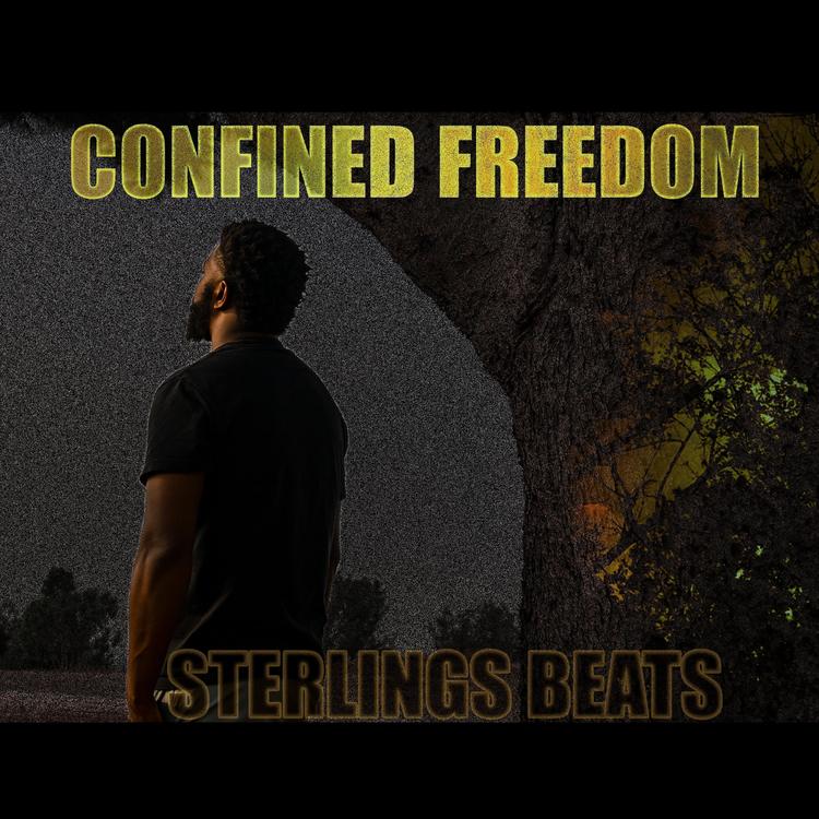 Sterling's Beats's avatar image