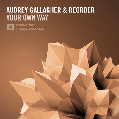 Your Own Way (Radio Edit) By Audrey Gallagher, ReOrder's cover