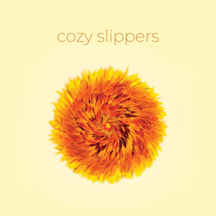 Cozy Slippers's avatar image