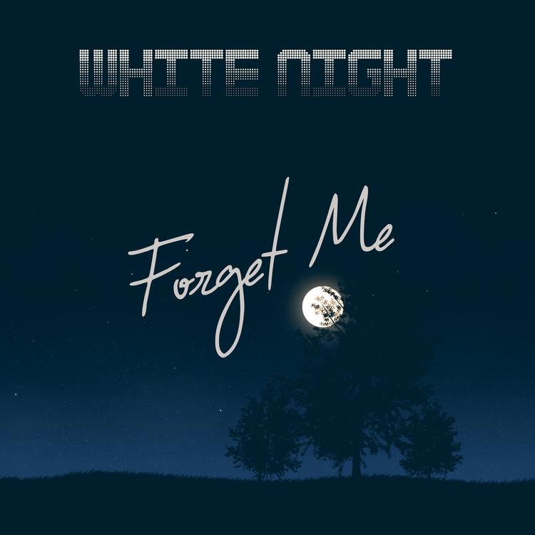 The White Night's avatar image