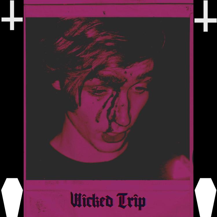 Wicked Trip's avatar image