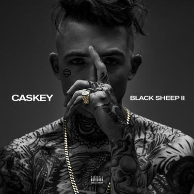Black Sheep 2's cover