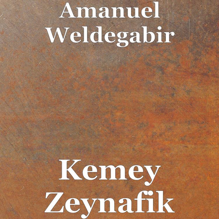 Amanuel Weldegabir's avatar image