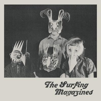 Voices Carry Through the Mist By The Surfing Magazines's cover