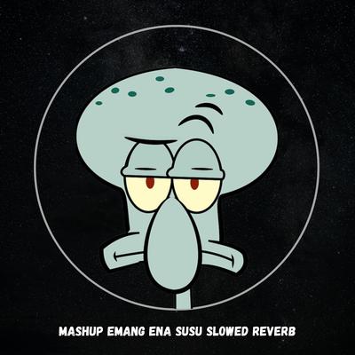 Mashup Emang Ena Susu Slowed Reverb's cover