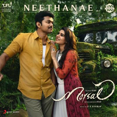 Neethanae (From "Mersal")'s cover