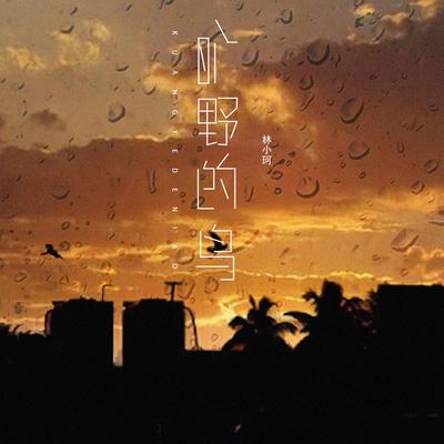 旷野的鸟's cover